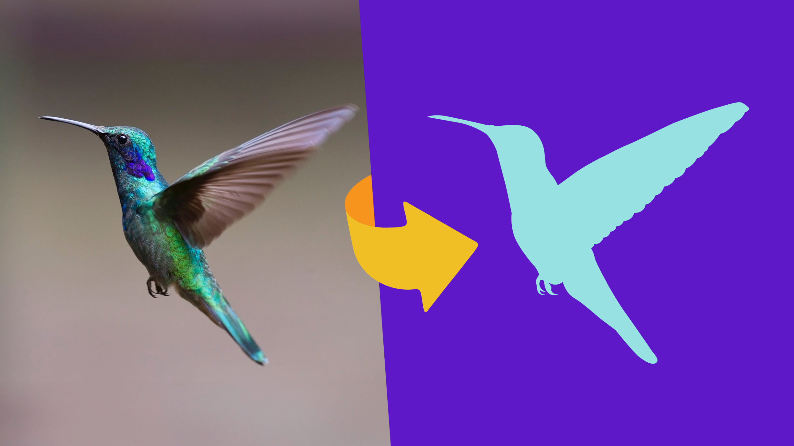 שרטוט איור לוגו מתמונה